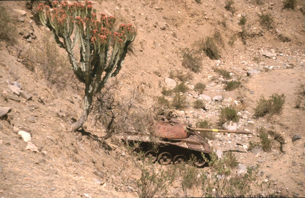 Eritrea 1997 ° ° ° tank-wreck from the 1990 liberation war against Ethiopia in the rough southern highlands ° ° ° ° Panzerwrack im südflichen Bergland Eritreas aus den 1990er Unabhängigkeitskämpfen gegen Äthiopien