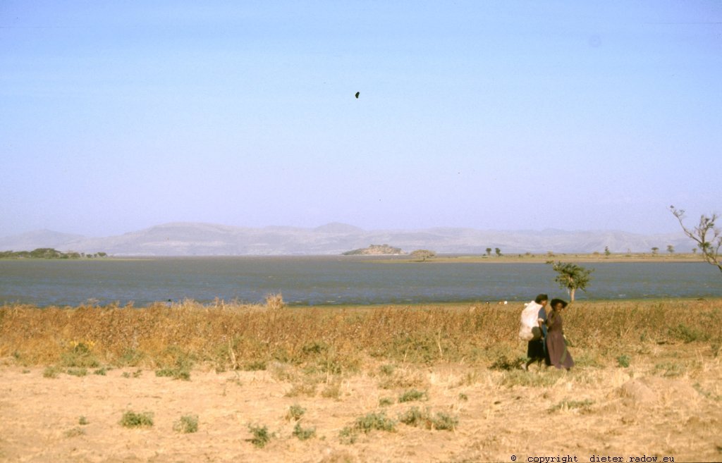 AES 339 an den südlichen Seen des Rift-Valleys