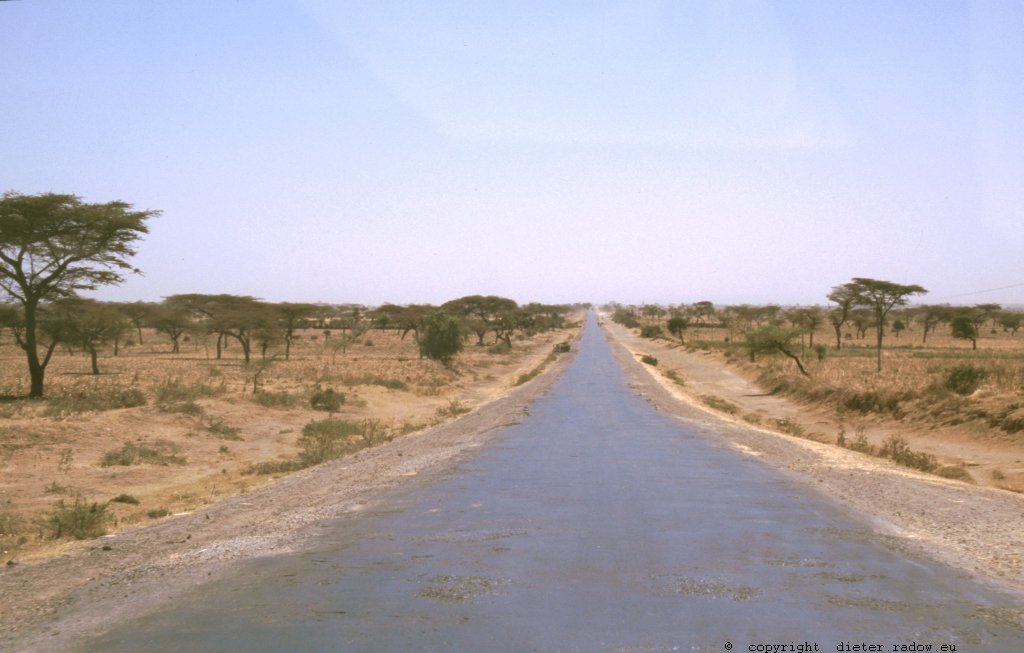 Fernstraße durch typische süd-äthiopische Dornbusch-Sawanne
