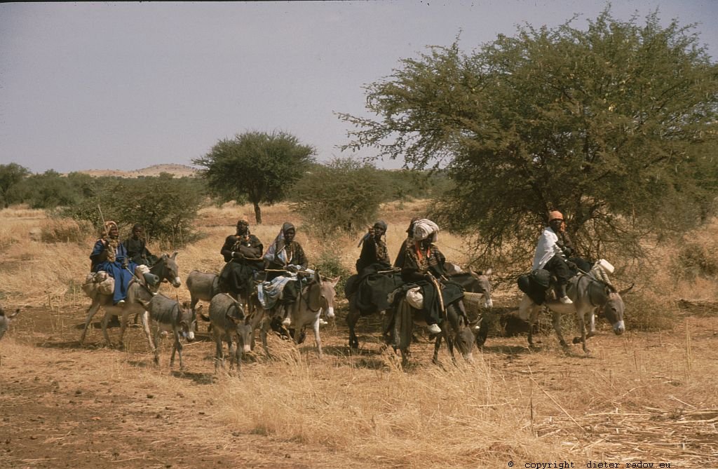 131 Burkina Faso Gorom Gorom Frauen reiten zum Markt 78