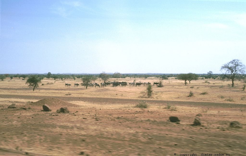 185 Burkina Faso Landschaft