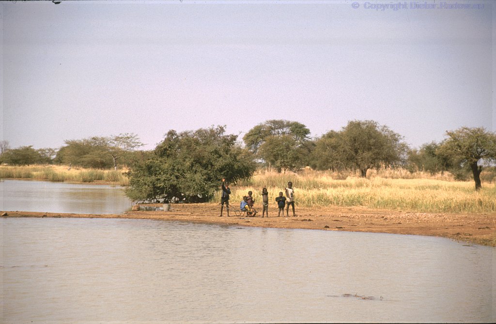 Burkina Faso 1997, Der kleine Fluß ist aufgestaut, um Wasser für einige Wochen aufzuhalten. So kann man längeren Viehtrieb zu entfernteren Wasserstellen vermeiden