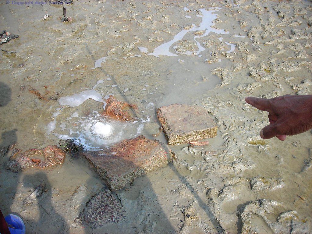 Bangladesch - Gangesmündung Heißwasserquelle aus dem Sand