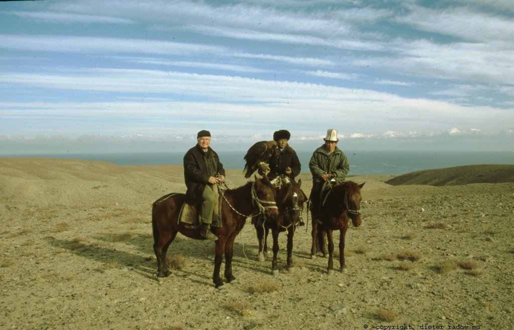 Kirgistan - Yssik-Kul 590 zentralasiatischer Steppenadler