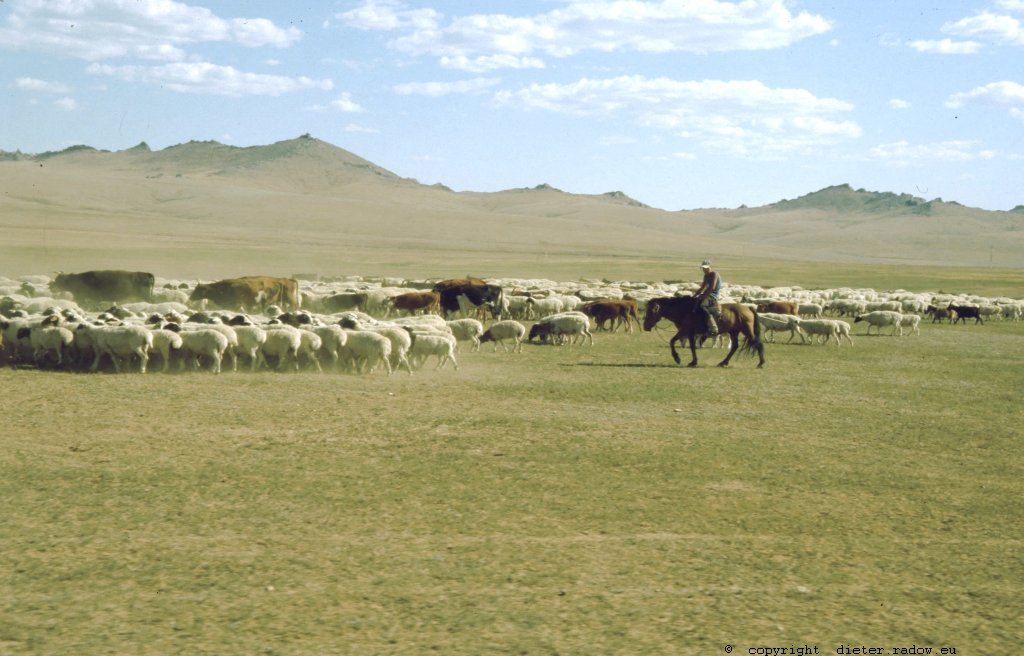 Mongolei 236