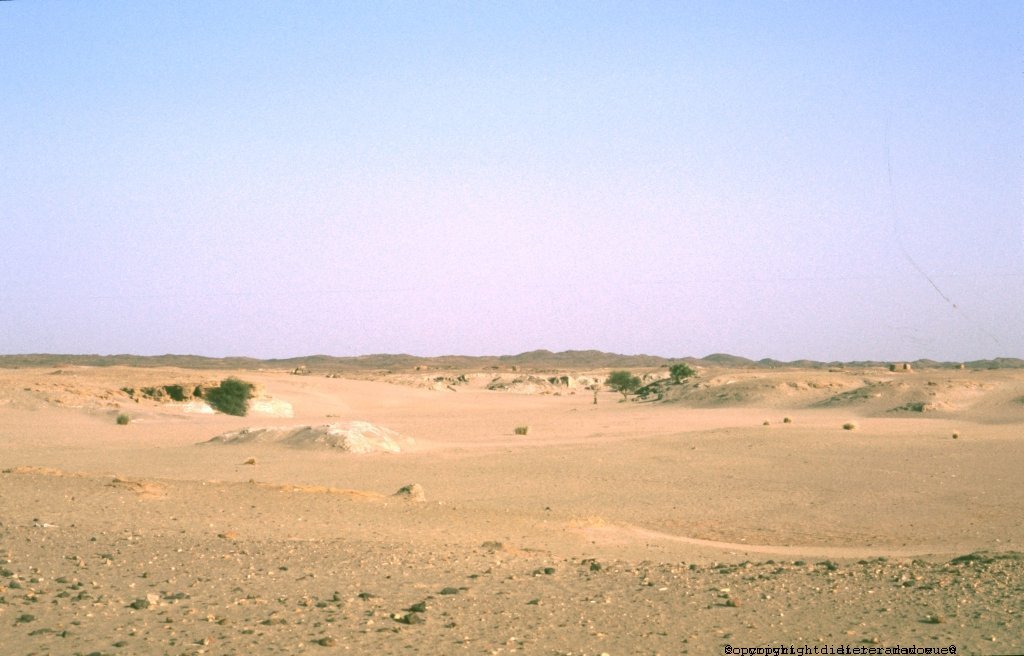 Sudan Wadi
