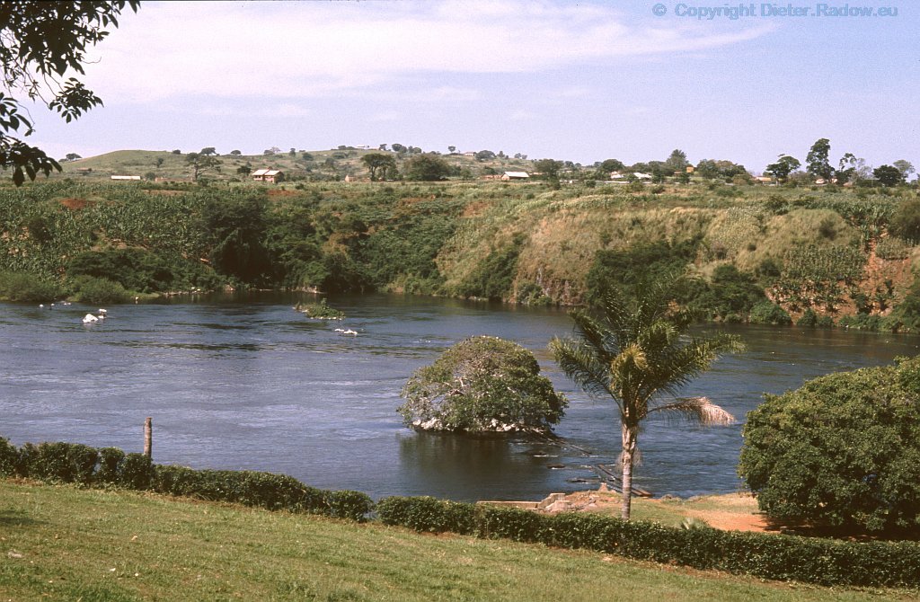 Uganda 1984 leftside the water-path belongs to Viktoria-Lake, to the right starts the River Nile 