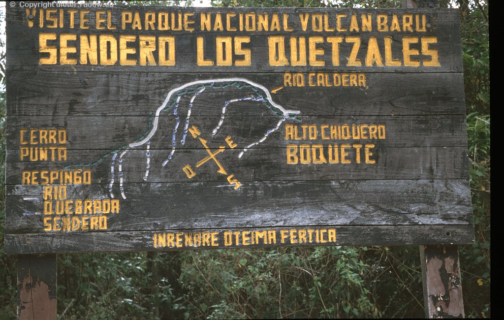 Panama 2003: Baru-Vulkan-Nationalpark in der Provinz Chiriqui